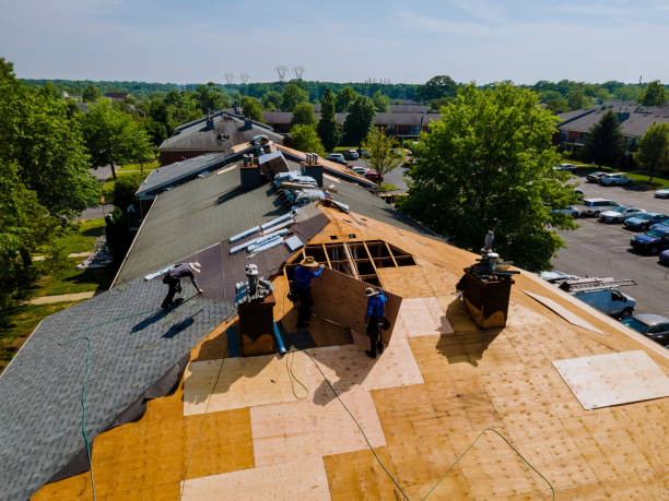Best Storm Damage Roof Repair  in Denton, MD