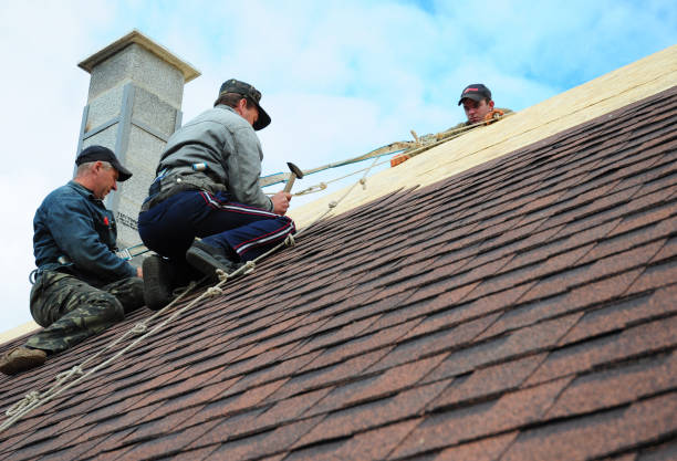 Best Shingle Roofing Installation  in Denton, MD